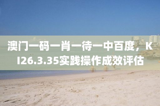 澳门一码一肖一待一中百度，KI26.3.35实践操作成效评估