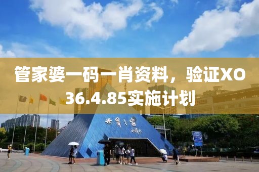 管家婆一码一肖资料，验证XO36.4.85实施计划
