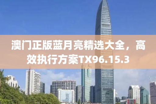 澳门正版蓝月亮精选大全，高效执行方案TX96.15.3