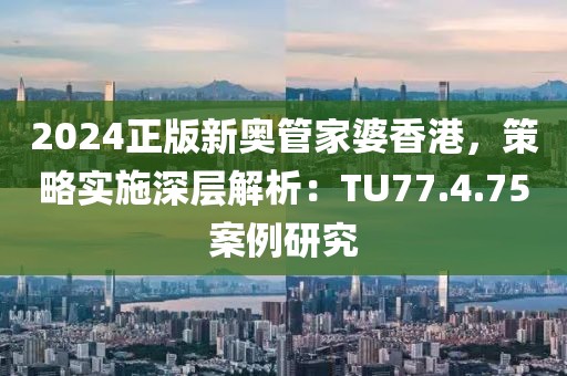 2024正版新奥管家婆香港，策略实施深层解析：TU77.4.75案例研究