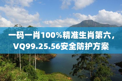 一码一肖100%精准生肖第六，VQ99.25.56安全防护方案