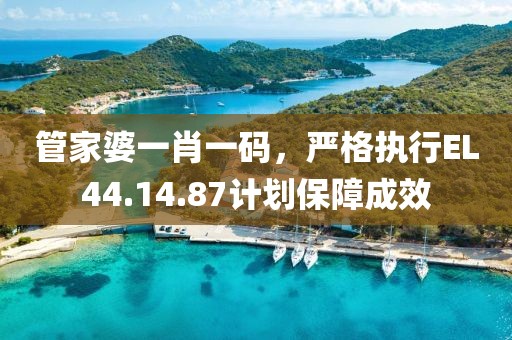 管家婆一肖一码，严格执行EL44.14.87计划保障成效