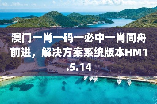 澳门一肖一码一必中一肖同舟前进，解决方案系统版本HM1.5.14