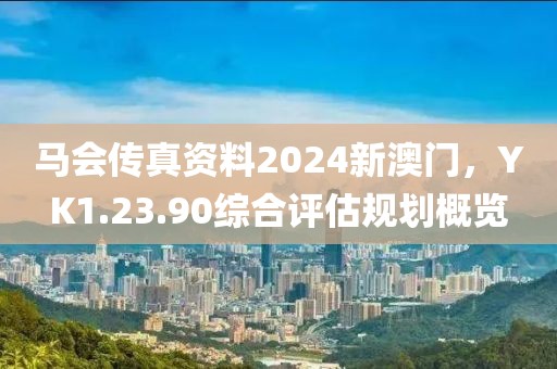 马会传真资料2024新澳门，YK1.23.90综合评估规划概览