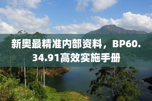 新奥最精准内部资料，BP60.34.91高效实施手册