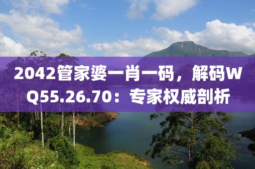 2042管家婆一肖一码，解码WQ55.26.70：专家权威剖析