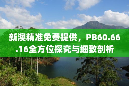 新澳精准免费提供，PB60.66.16全方位探究与细致剖析