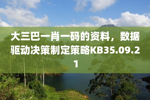 大三巴一肖一码的资料，数据驱动决策制定策略KB35.09.21