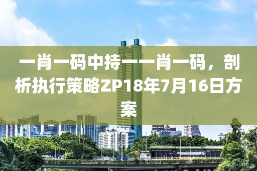 一肖一码中持一一肖一码，剖析执行策略ZP18年7月16日方案