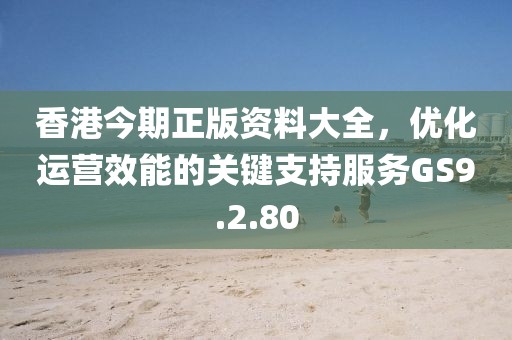 香港今期正版资料大全，优化运营效能的关键支持服务GS9.2.80