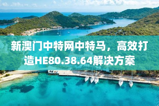 新澳门中特网中特马，高效打造HE80.38.64解决方案