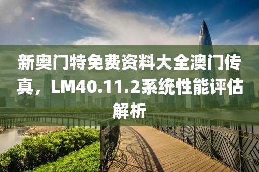 新奥门特免费资料大全澳门传真，LM40.11.2系统性能评估解析