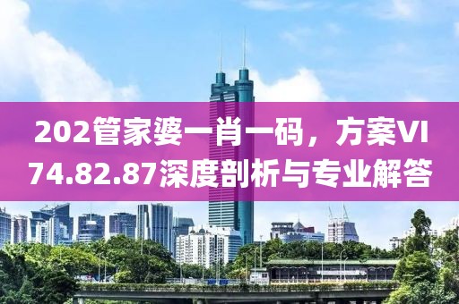 202管家婆一肖一码，方案VI74.82.87深度剖析与专业解答