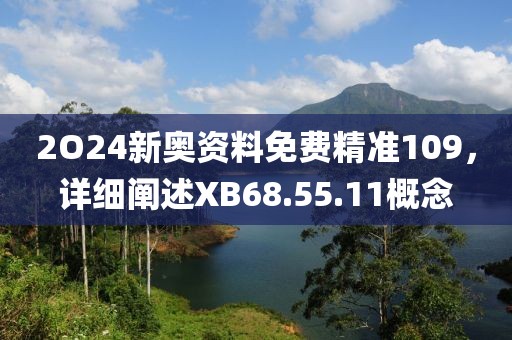 2O24新奥资料免费精准109，详细阐述XB68.55.11概念