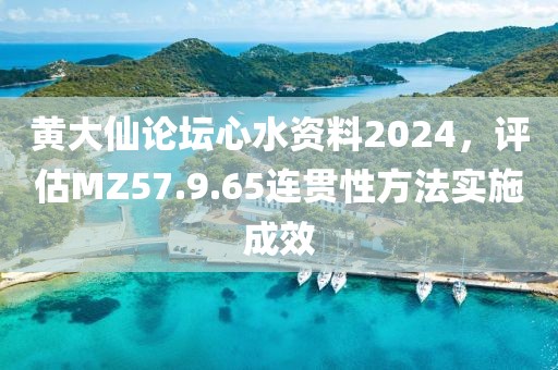 黄大仙论坛心水资料2024，评估MZ57.9.65连贯性方法实施成效