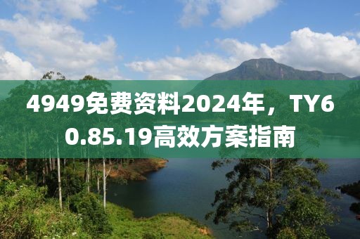 4949免费资料2024年，TY60.85.19高效方案指南