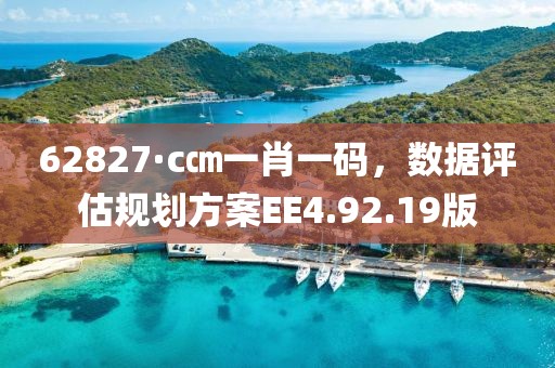 62827·c㎝一肖一码，数据评估规划方案EE4.92.19版