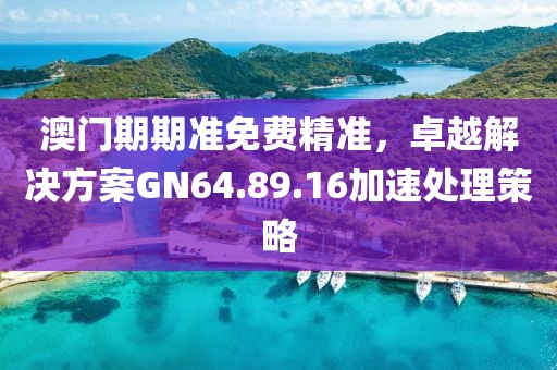 澳门期期准免费精准，卓越解决方案GN64.89.16加速处理策略