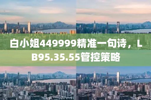 白小姐449999精准一句诗，LB95.35.55管控策略