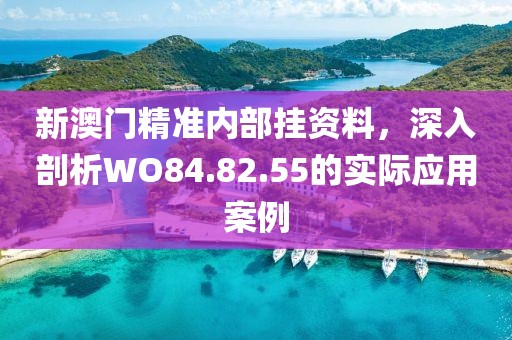 新澳门精准内部挂资料，深入剖析WO84.82.55的实际应用案例
