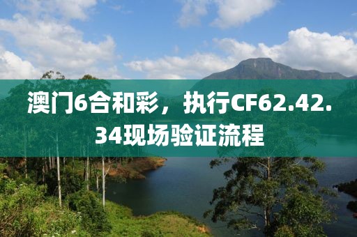 澳门6合和彩，执行CF62.42.34现场验证流程