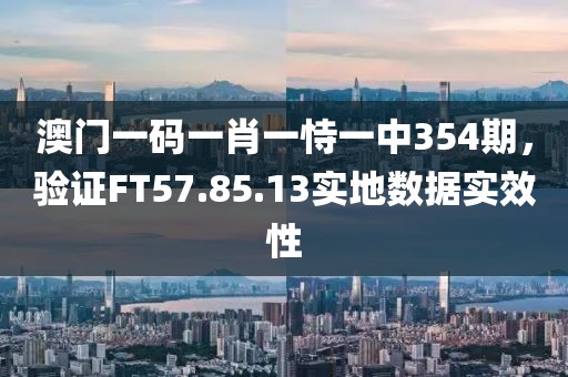 澳门一码一肖一恃一中354期，验证FT57.85.13实地数据实效性