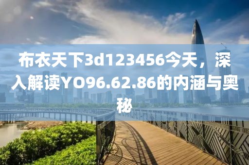布衣天下3d123456今天，深入解读YO96.62.86的内涵与奥秘