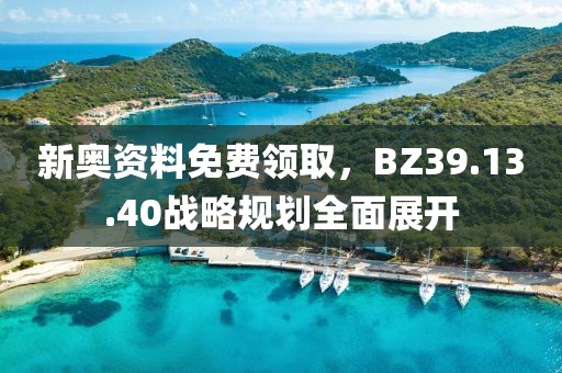新奥资料免费领取，BZ39.13.40战略规划全面展开