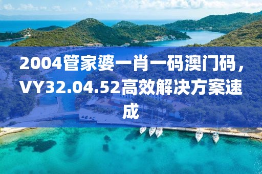 2004管家婆一肖一码澳门码，VY32.04.52高效解决方案速成