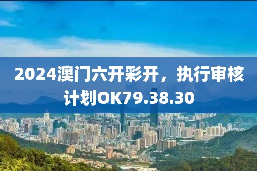2024澳门六开彩开，执行审核计划OK79.38.30