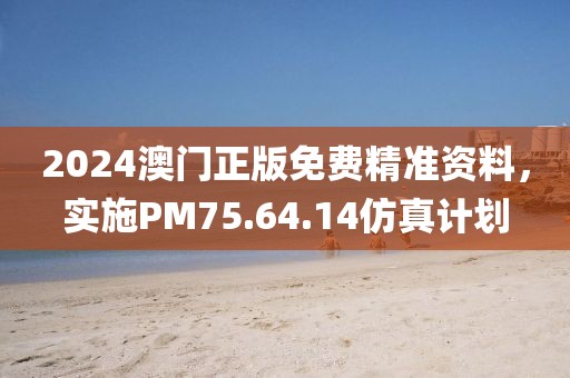 2024澳门正版免费精准资料，实施PM75.64.14仿真计划
