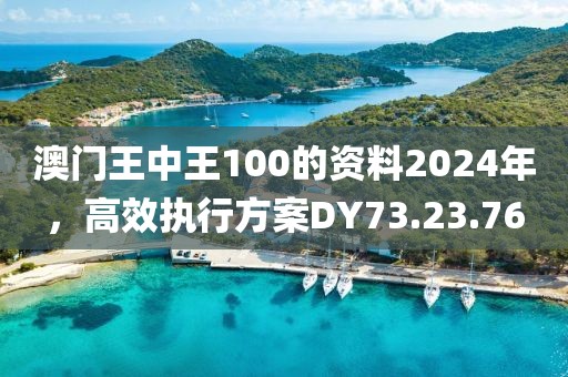 澳门王中王100的资料2024年，高效执行方案DY73.23.76