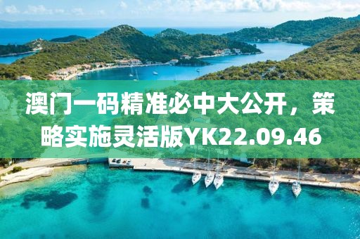 澳门一码精准必中大公开，策略实施灵活版YK22.09.46