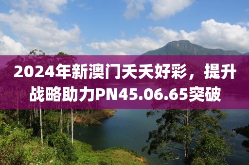 2024年新澳门夭夭好彩，提升战略助力PN45.06.65突破