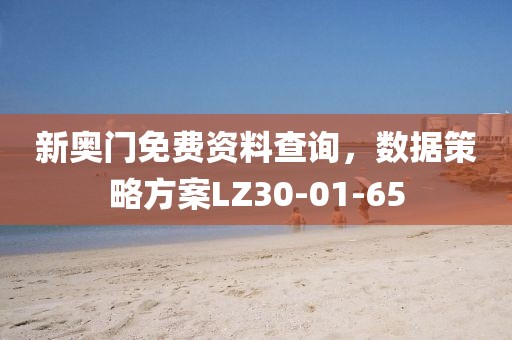 新奥门免费资料查询，数据策略方案LZ30-01-65