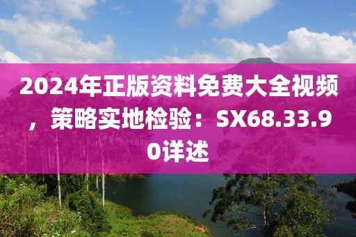 2024年正版资料免费大全视频，策略实地检验：SX68.33.90详述
