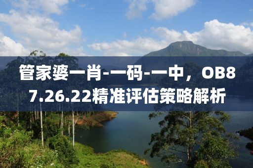 管家婆一肖-一码-一中，OB87.26.22精准评估策略解析