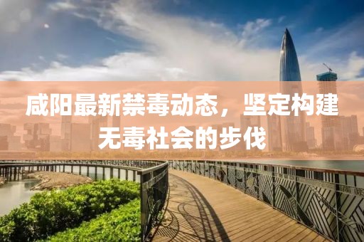 咸阳最新禁毒动态，坚定构建无毒社会的步伐