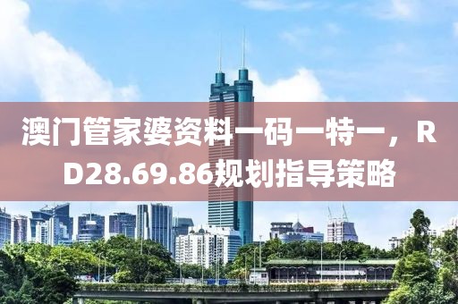 澳门管家婆资料一码一特一，RD28.69.86规划指导策略