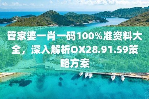 管家婆一肖一码100%准资料大全，深入解析OX28.91.59策略方案