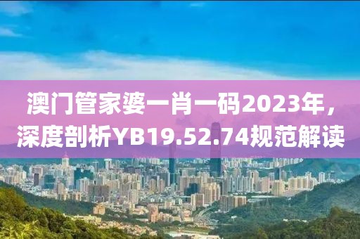 澳门管家婆一肖一码2023年，深度剖析YB19.52.74规范解读