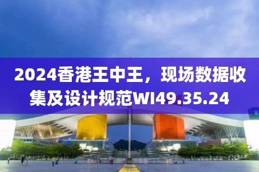 2024香港王中王，现场数据收集及设计规范WI49.35.24