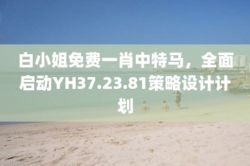 白小姐免费一肖中特马，全面启动YH37.23.81策略设计计划