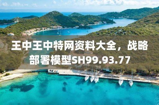 王中王中特网资料大全，战略部署模型SH99.93.77