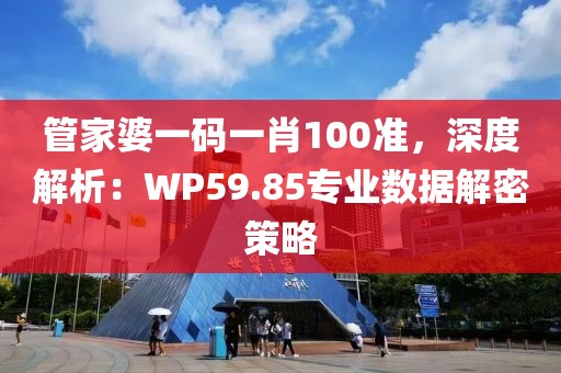管家婆一码一肖100准，深度解析：WP59.85专业数据解密策略