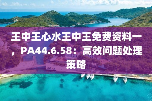 王中王心水王中王免费资料一，PA44.6.58：高效问题处理策略
