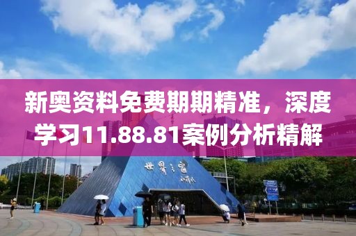 新奥资料免费期期精准，深度学习11.88.81案例分析精解