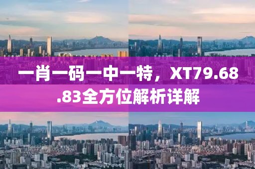 一肖一码一中一特，XT79.68.83全方位解析详解