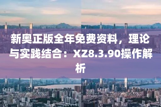 新奥正版全年免费资料，理论与实践结合：XZ8.3.90操作解析