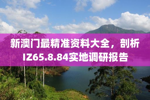 新澳门最精准资料大全，剖析IZ65.8.84实地调研报告